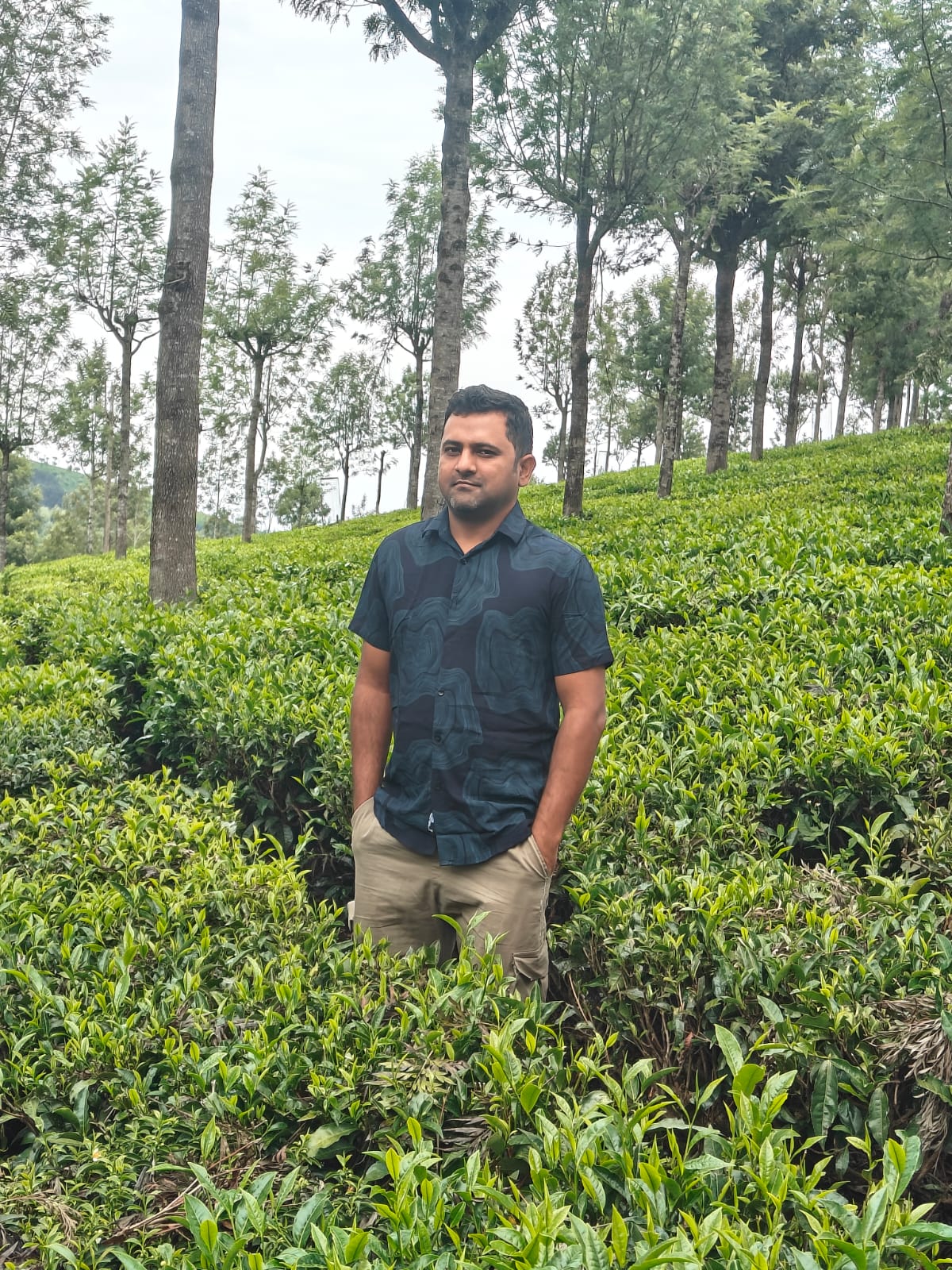Avatar of Srikanth V Mattihalli